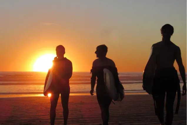 Surfers on the beach in the evening light. Photo. 