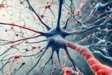Illustrations of neural pathways. Picture: iStock