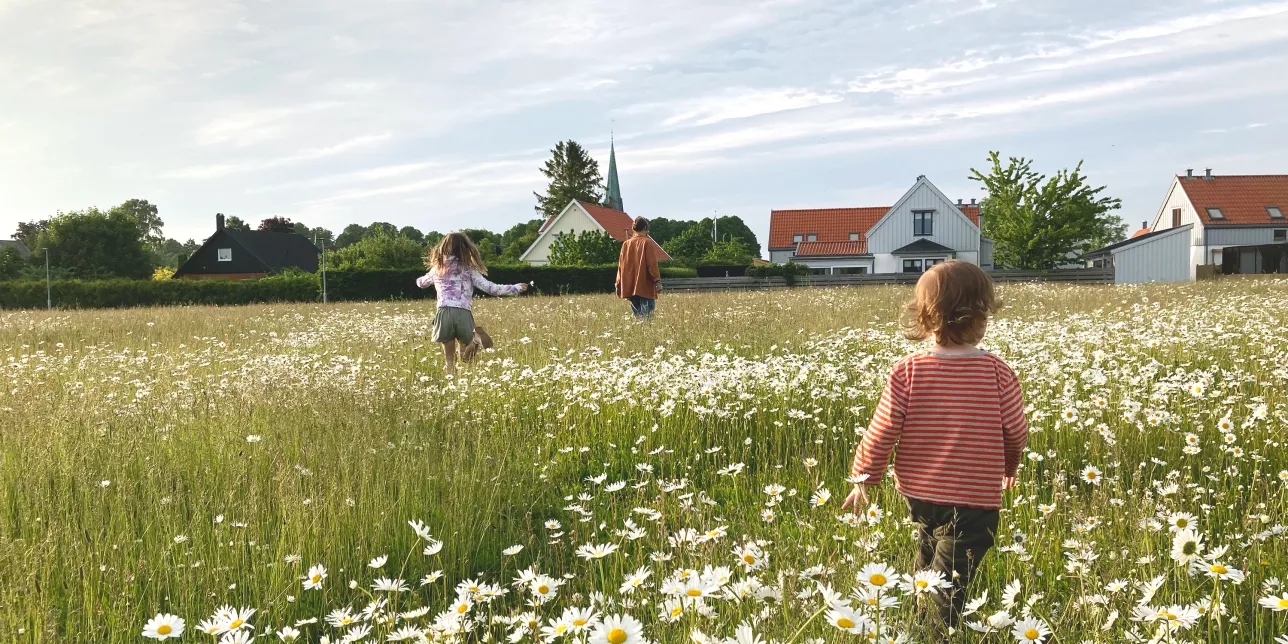 Children on meadow in Vintrie. Photo: Patrik Hekkala.