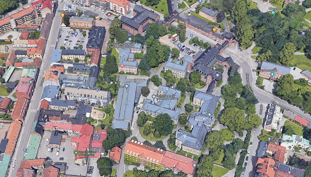 Satellite image of the Paradis quarter. Photo. 