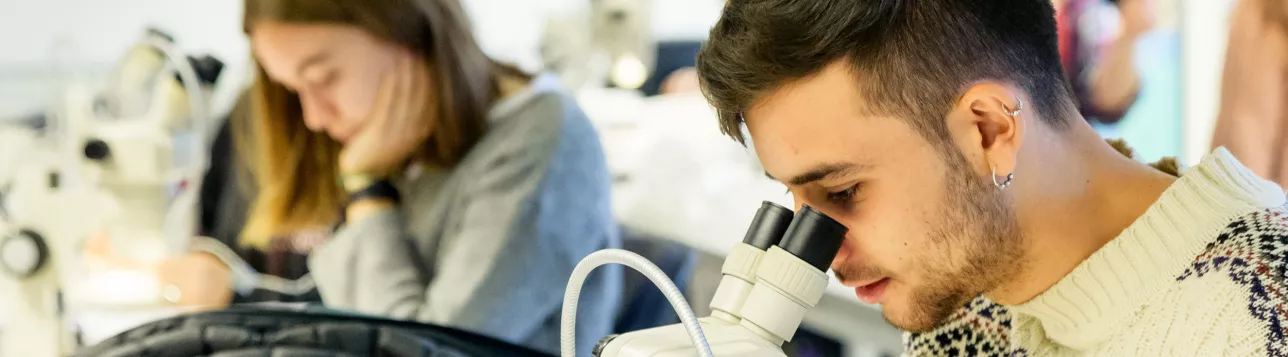 Students in a marine biology lab session. Photo: Inger Henrekson Ekström.