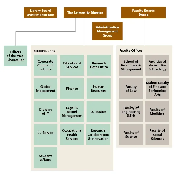The central administration structure at Lund University. Illustration.